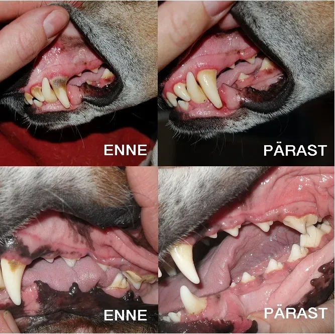 OralClean+Care Classic geel - image 2 of 4