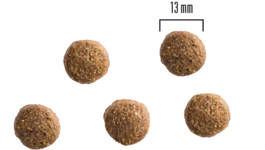 Kuivtoit täiskasvanud koerale - 3kg ,Kana ja kartul - image 2 of 2