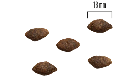 Teraviljavaba kõrge kvaliteediga koeratoit - 10kg, Hirveliha ja kalkun - image 2 of 2