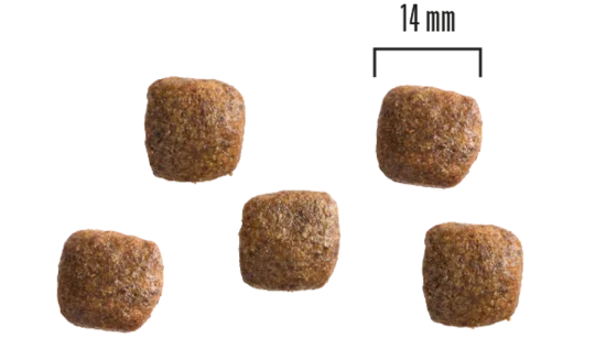 Teraviljavaba kõrge kvaliteediga koeratoit - 10kg, Lõhe ja kartul - image 2 of 2