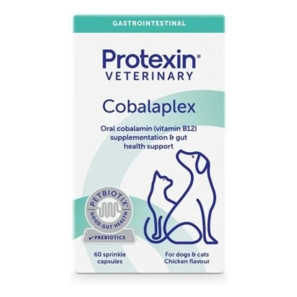 Cobalaplex kapslid koerale ja kassile 60tk - image 1 of 4