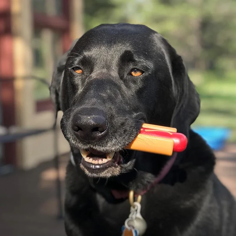 Chew toy for dogs - Hot dog - image 2 of 2