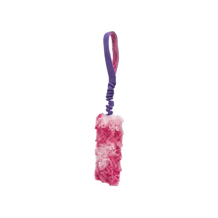 Dog toy Bungee Fun - image 1 of 2