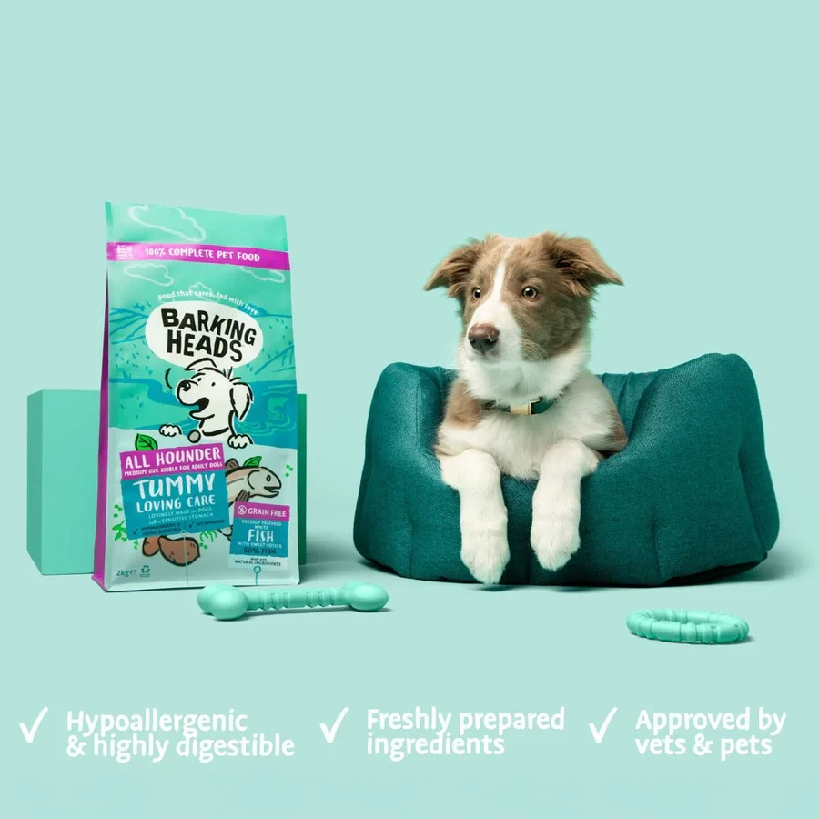 Barking Heads Koera täissööt 12kg Tummy Loving Care kalaga - image 2 of 4