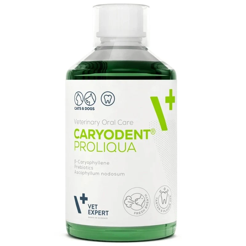 Caryodent Proliqua Drinking Water Additive for Dogs 250ml - image 1 of 2