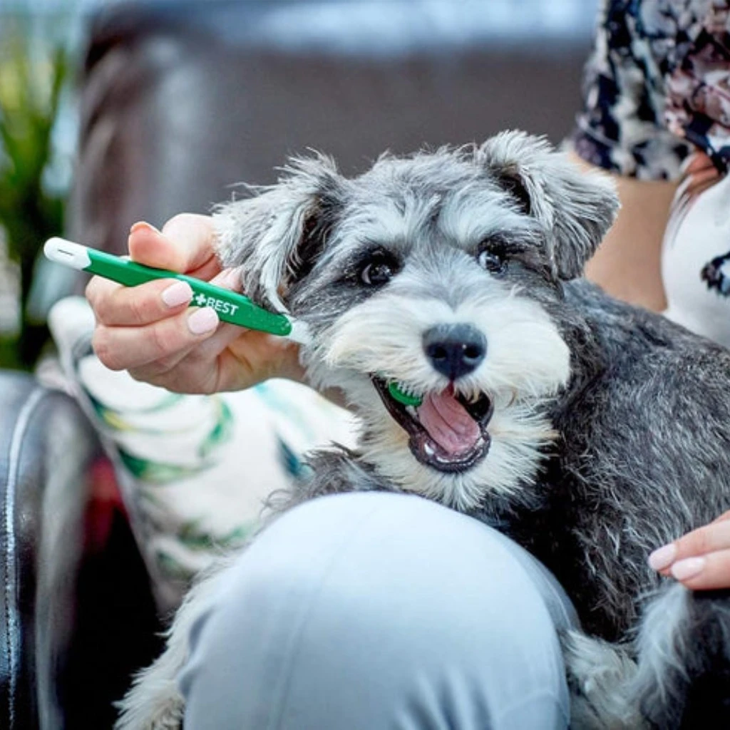 Dog Toothbrush Triple Headed - image 3 of 3