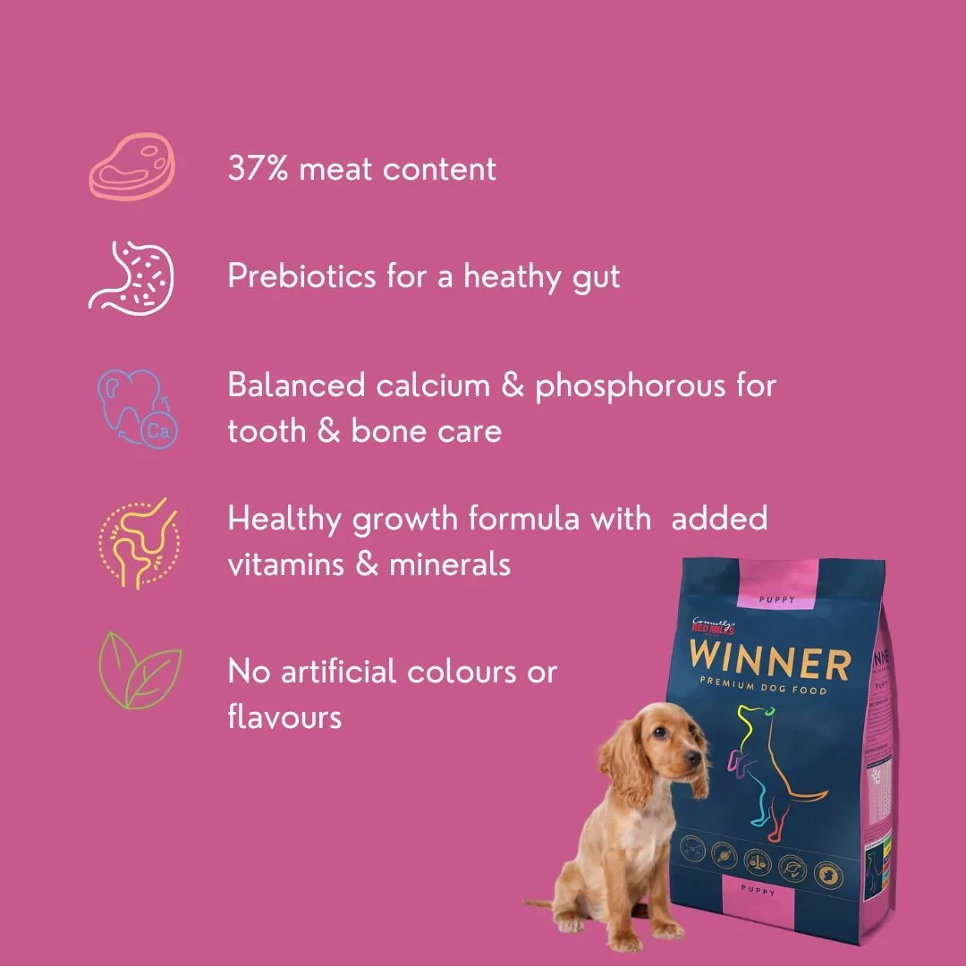 Balanced dry food for dogs 15kg - Big breed puppy - image 2 of 2