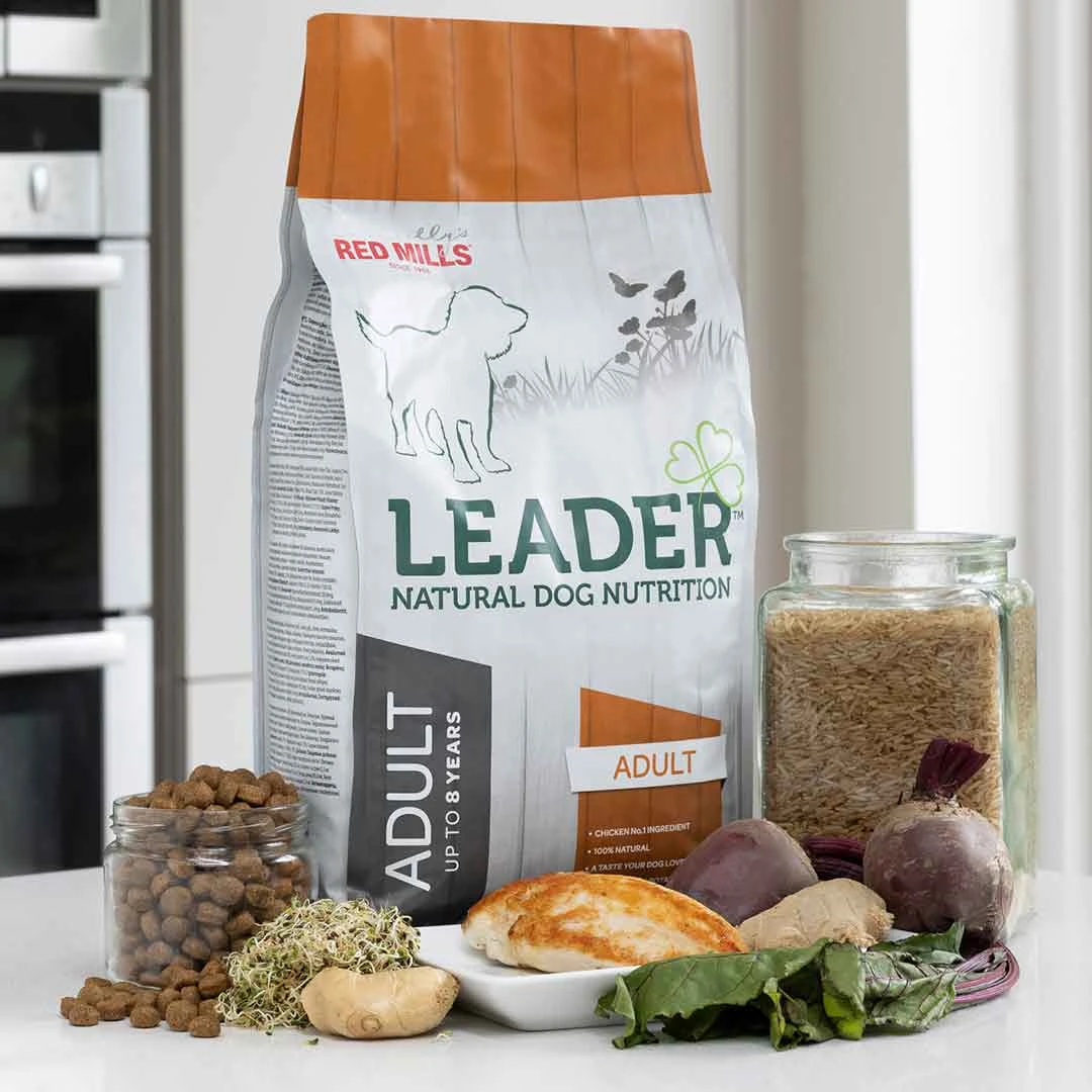 Leader | Dog Food | Koerland